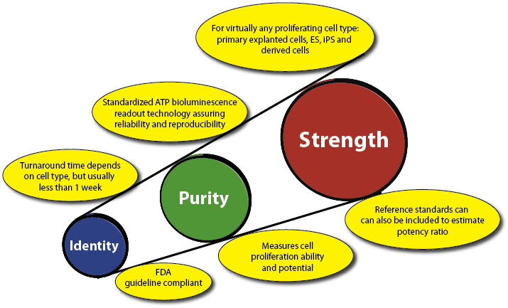 A Standardized and Validated 96-Well, Bioluminescence Potency and Quality Assay Kit to Release Stem Cell Products for Use